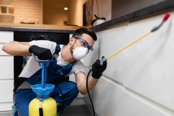 Best Mosquito Control Services  in Norwich, CT