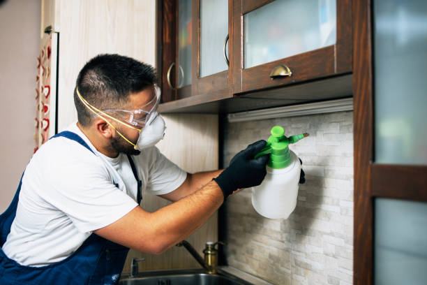  Norwich, CT Pest Control Pros