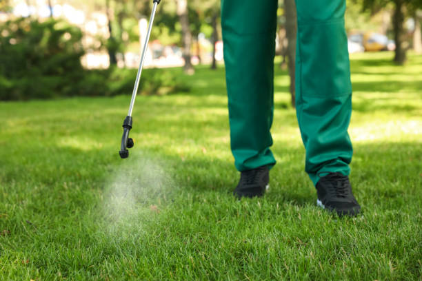 Best Affordable Pest Control Services  in Norwich, CT