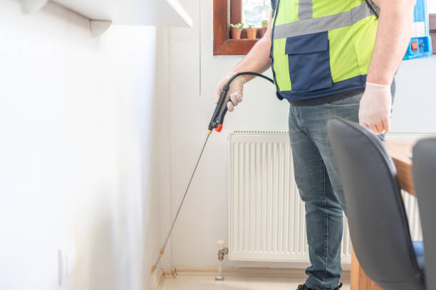 Best Affordable Pest Control Services  in Norwich, CT