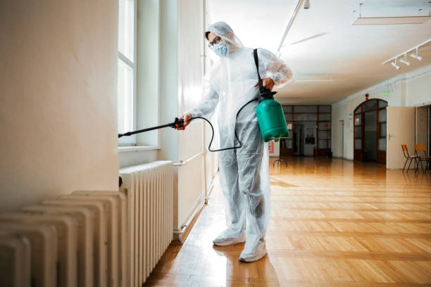 Best Flea Control Services  in Norwich, CT